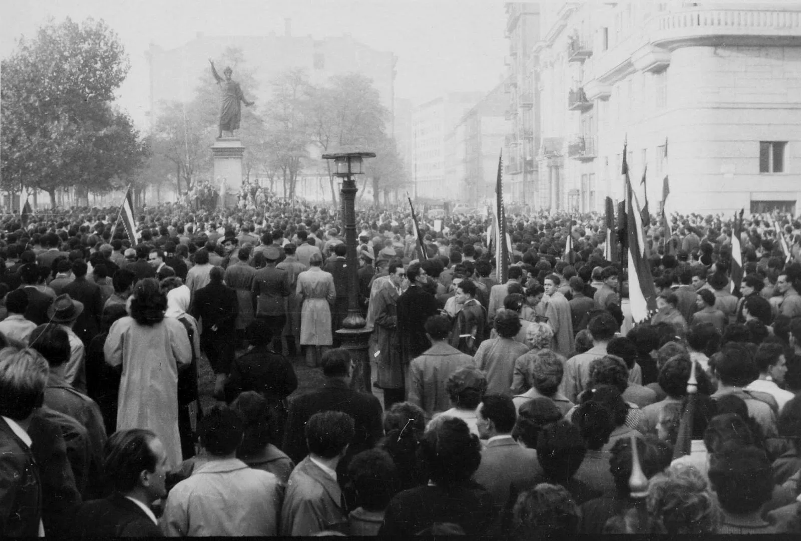 1956 Macaristan Devrimi