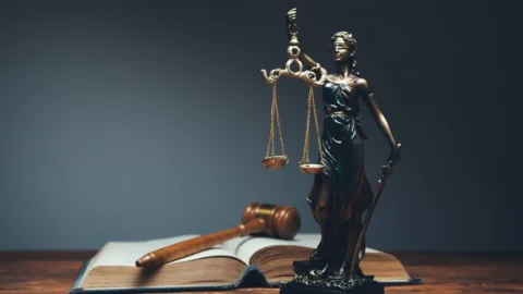 Hukukun Üstünlüğü Yalanı!