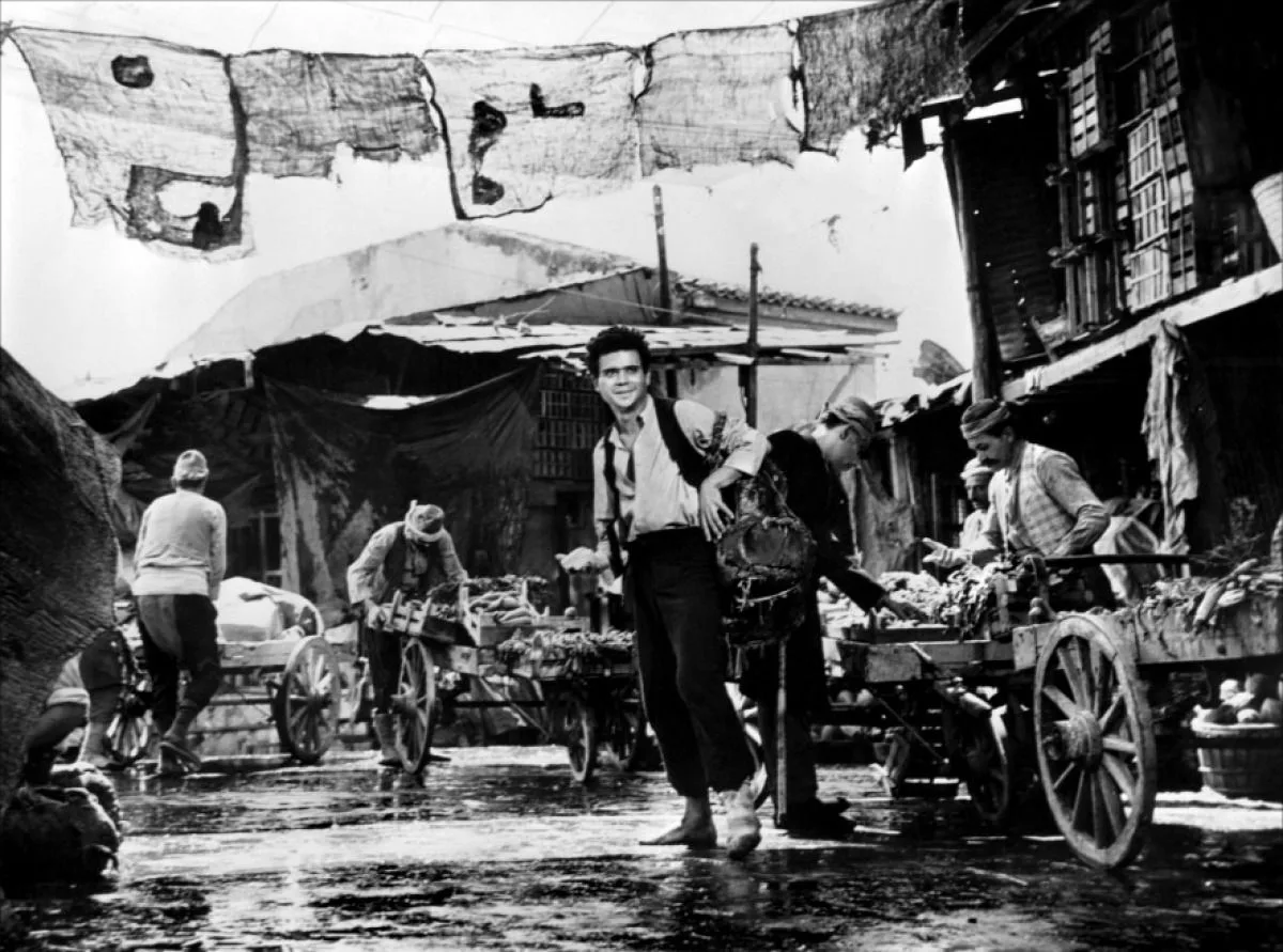 Stavro’nun Hikâyesi ve Halkların Kardeşliği