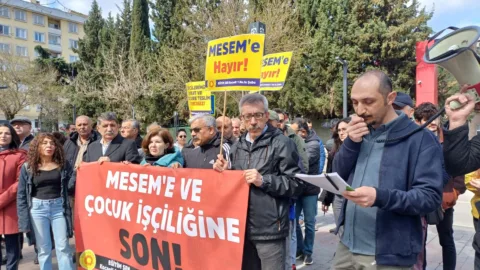 12 Haziran Dünya Çocuk İşçiliğiyle Mücadele Günü: Gerçekler ve Yalanlar