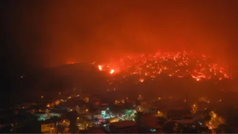 Ormanlar Yanıyor, Doğa Talan Ediliyor!